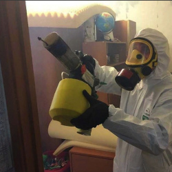 Уничтожение клопов в квартире. Торковичи